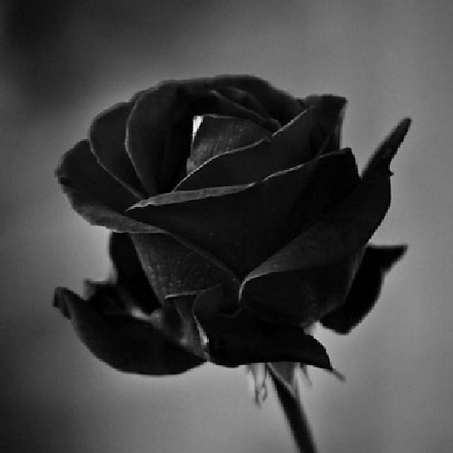 Nguyễn Thị Thảo 