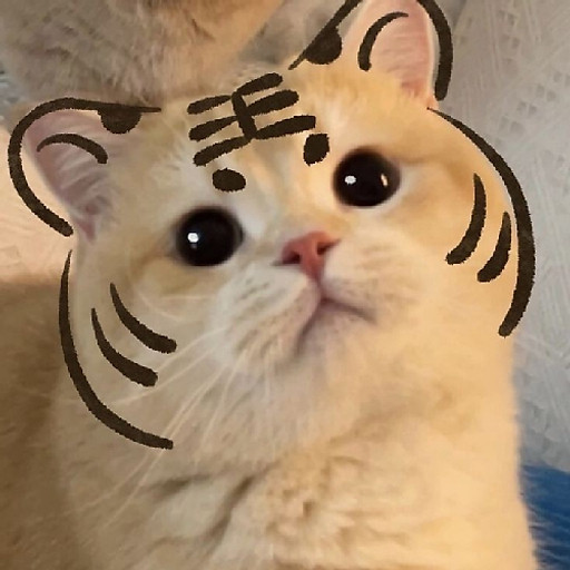 long phi