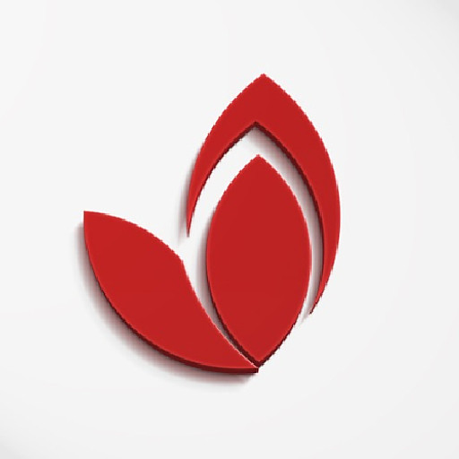 Ngô Nguyễn Vân Long