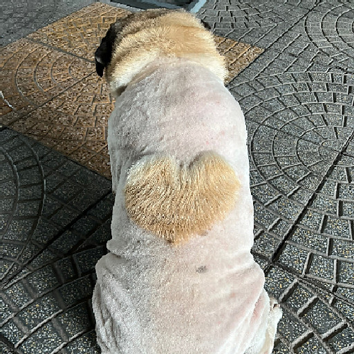 Nguyễn Hữu Phúc