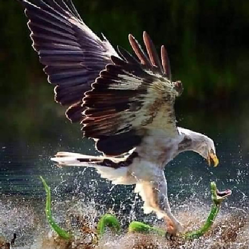 Nguyễn Công Trường Sơn