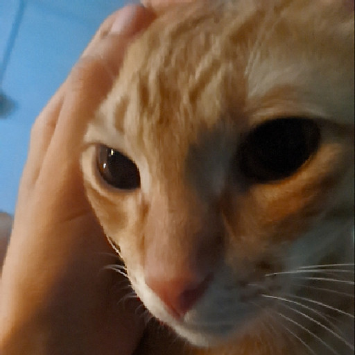 Bùi Ngọc Yến Thanh