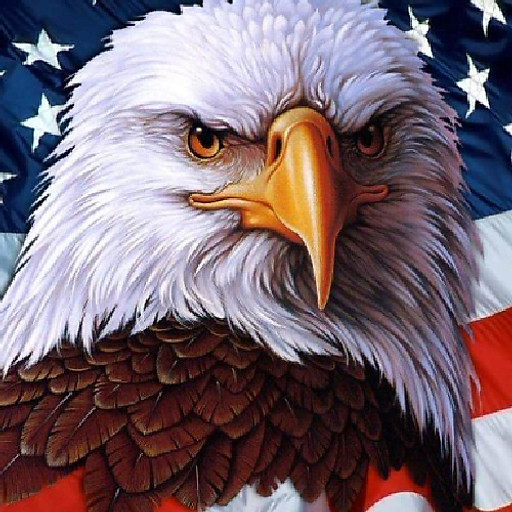 Đinh Ngọc Bảo Toàn