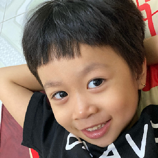 Lê Nguyễn Á Hậu