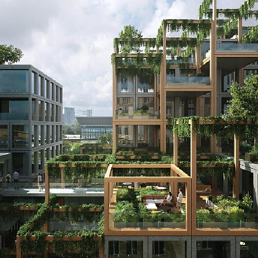 Trần Võ Phương Anh