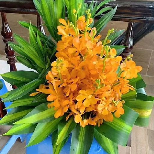 Nguyễn Thúy Hằng