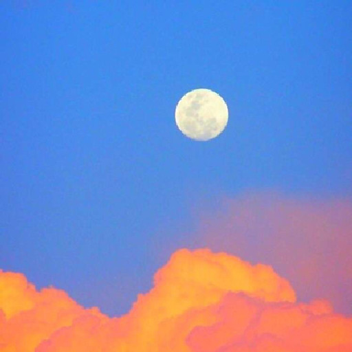 Nguyễn Mai Trúc Quỳnh