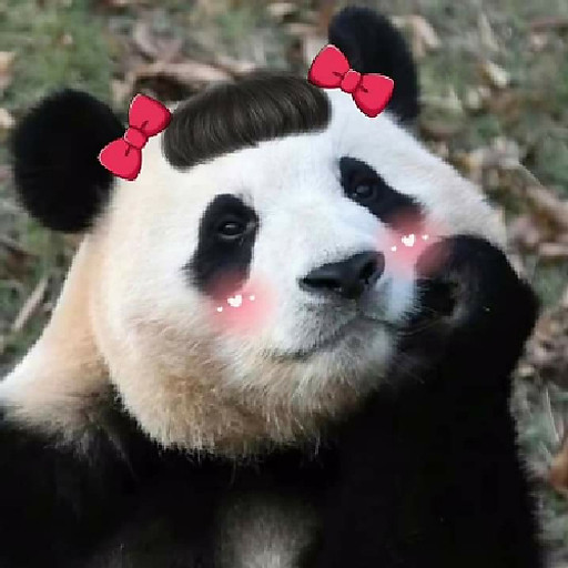 Huỳnh Thị Ngọc Bích