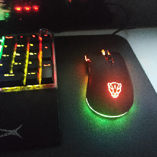 NGUYỄN NGỌC QUÝ