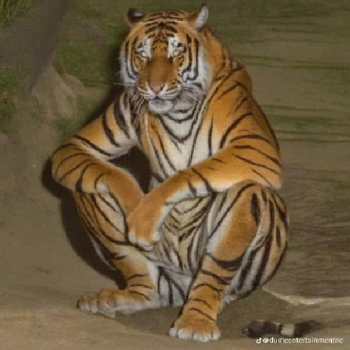 Trịnh Quốc Hùng