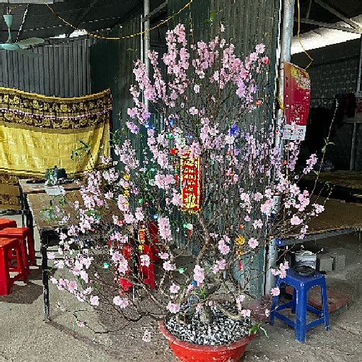 Nguyên Trọng Khánh