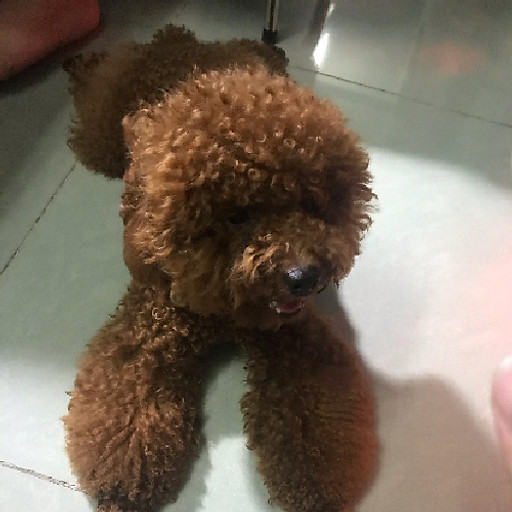 Nguyen Ngoc Minh Quang