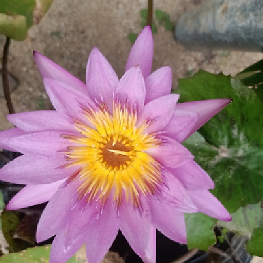 Phạm Phương Thanh