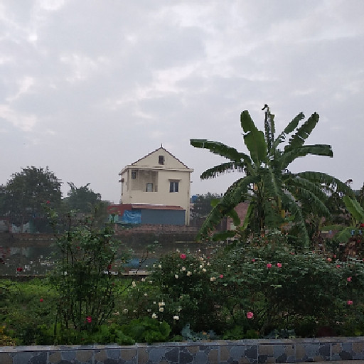 nguyễn lê hà