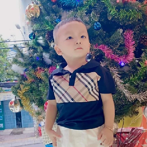 nguyễn tiến cảnh