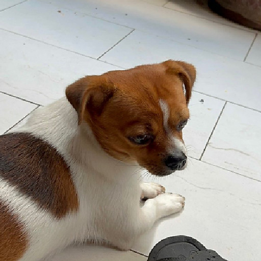 Huỳnh Tuyết Ngân