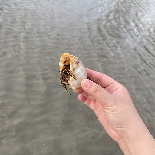 Nguyễn Thị Ngọc Doanh