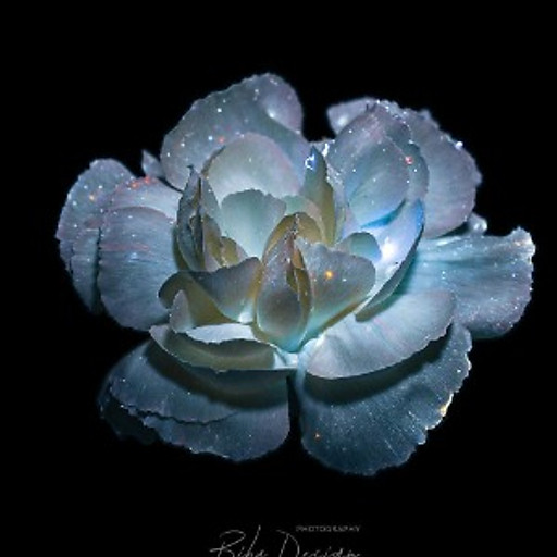 Nguyễn Phương Duy