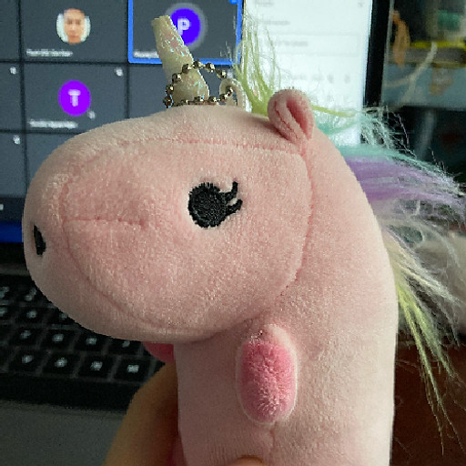 Trần Thị Mai Trang