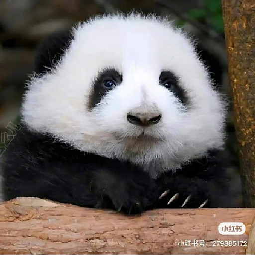 Đỗ Thị Minh Huệ