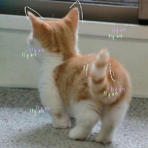 Vũ hậu