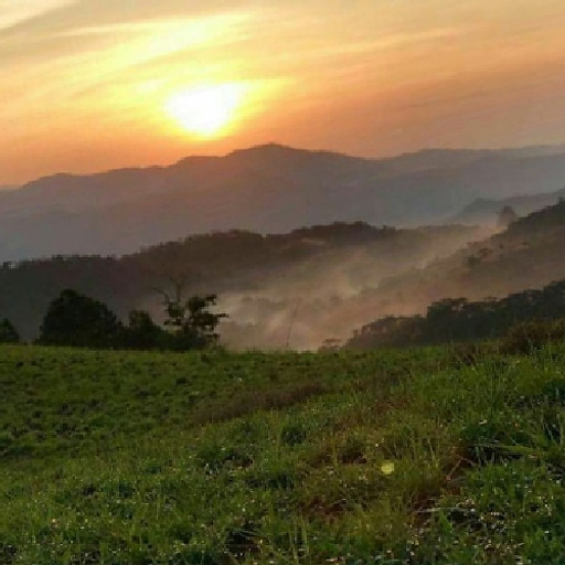 Nguyễn Thành Danh