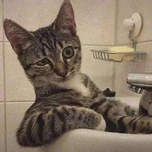 Đừng Xài ASA Nhé Các Bạn