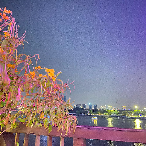 Ngô Thị Lan Hương