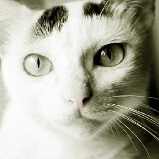 Lương Thị Phương Dung