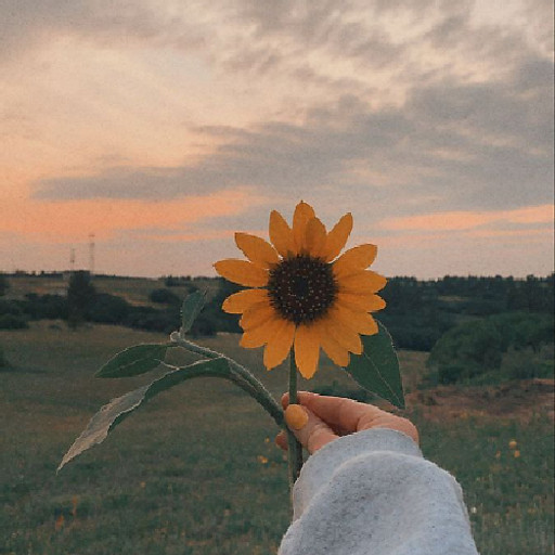 Nguyễn Khắc Minh Quang