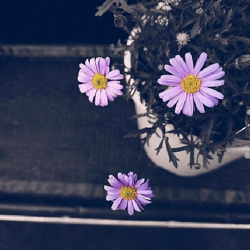 Phạm Xuân Huyền