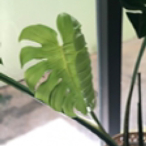 Lê Khánh Tường Vân