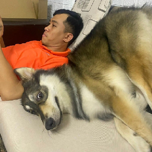 Nguyễn Hữu Triết