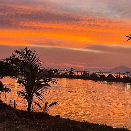 Tưởng Mỹ Phương 