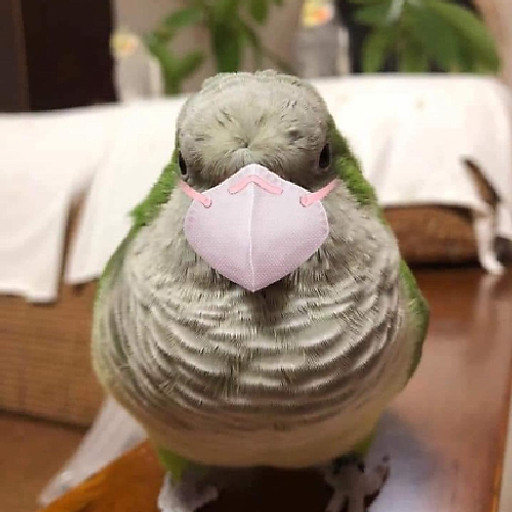 Võ Huỳnh Tuấn anh