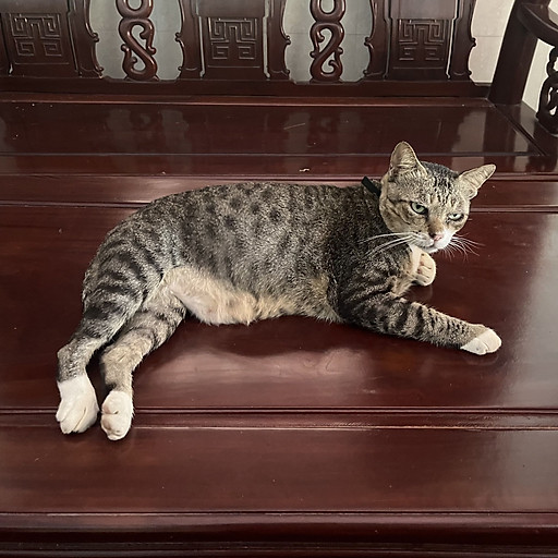 Nguyễn Công Hưng