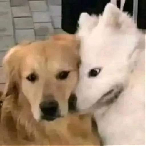 Nguyễn Thị Bích Ngọc