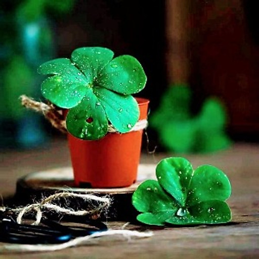 Trương Khắc Tùng