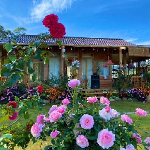 Trịnh Ngọc Dũng