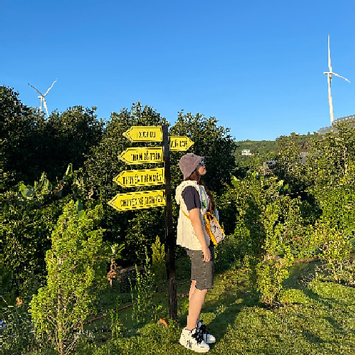 Nguyễn Mỹ Phương