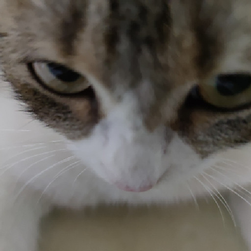 Nguyễn Minh Đức