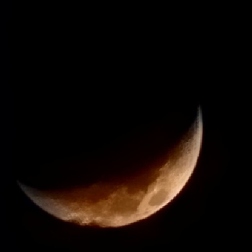 Liêu Ngọc Thảo Nhi