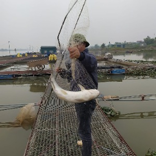 Lê Thị Hồng Nhung
