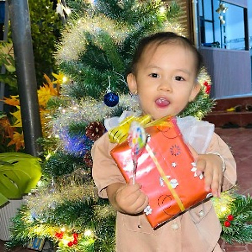 lê xuân trường