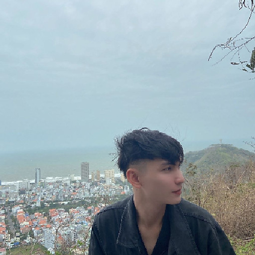 Hui Nguyen