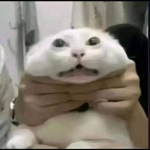 Nguyễn Võ Thơm Thơm