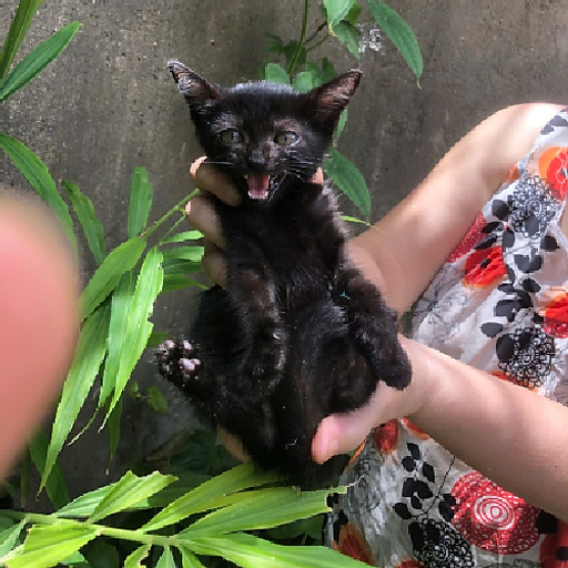 Đông Phương Bất Bại