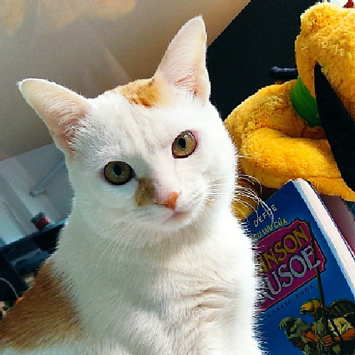 Nguyễn Minh Đức