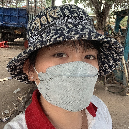 Phạm Nguyễn Hạnh Tiên