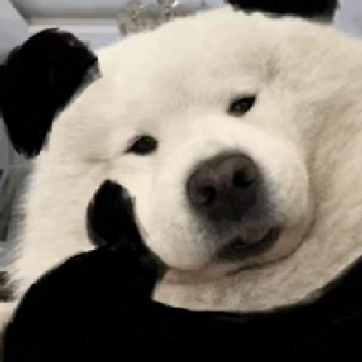 Phan Đình Hồng Đức